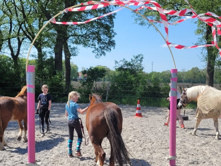 Paardrijkamp met je eigen paard voor kinderen met gezin in Westerveld Drenthe - Nederland