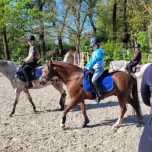 Paardrijkamp met je eigen paard voor ouder & kind Westerveld Drenthe - Nederland