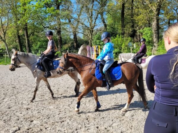 Paardrijkamp met je eigen paard voor ouder & kind Westerveld Drenthe - Nederland