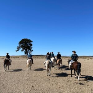 6-daagse paardrijtocht rond Sollipulli - Chili - Afbeelding 33