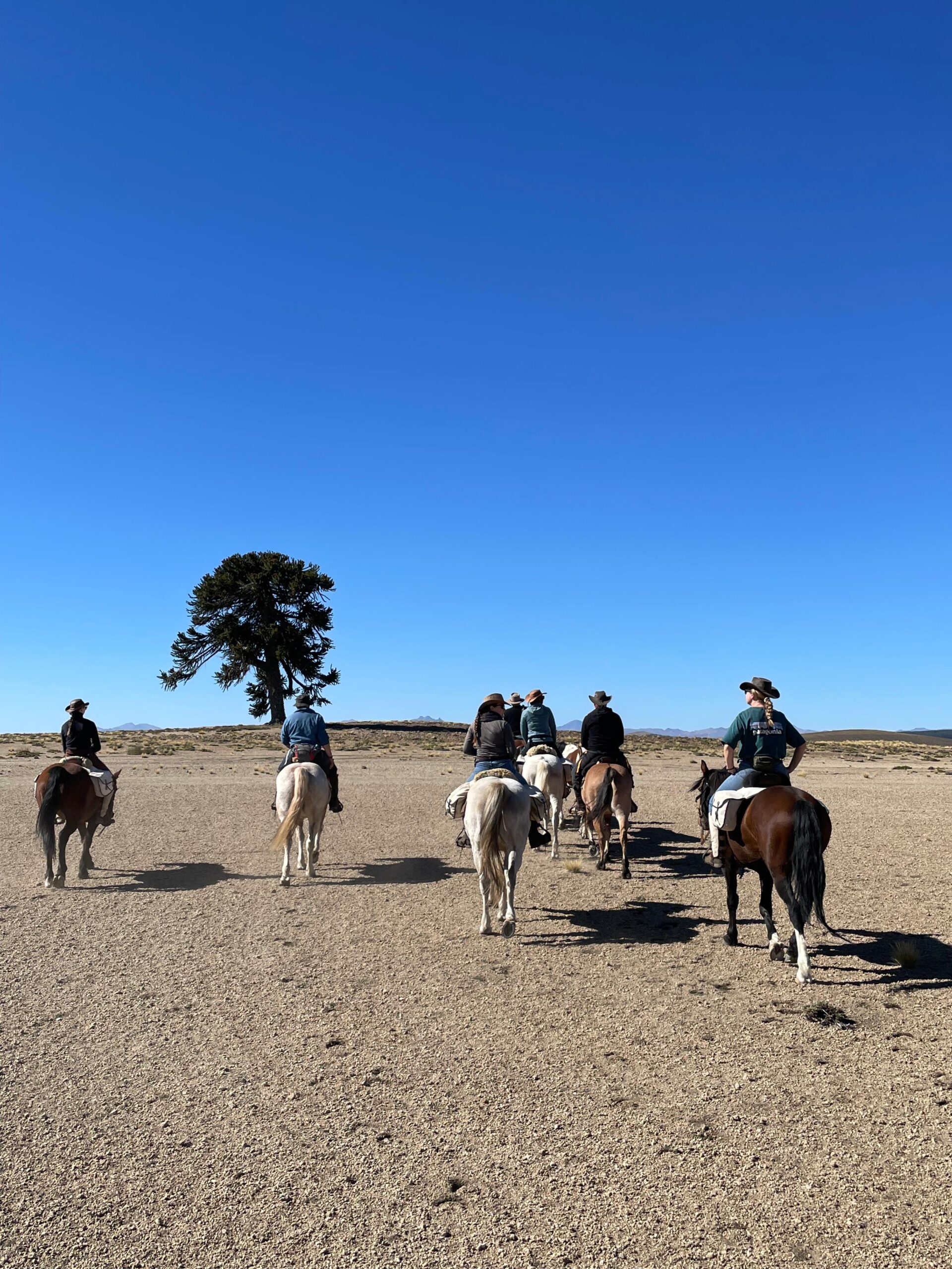 6-daagse paardrijtocht rond Sollipulli - Chili - Afbeelding 33
