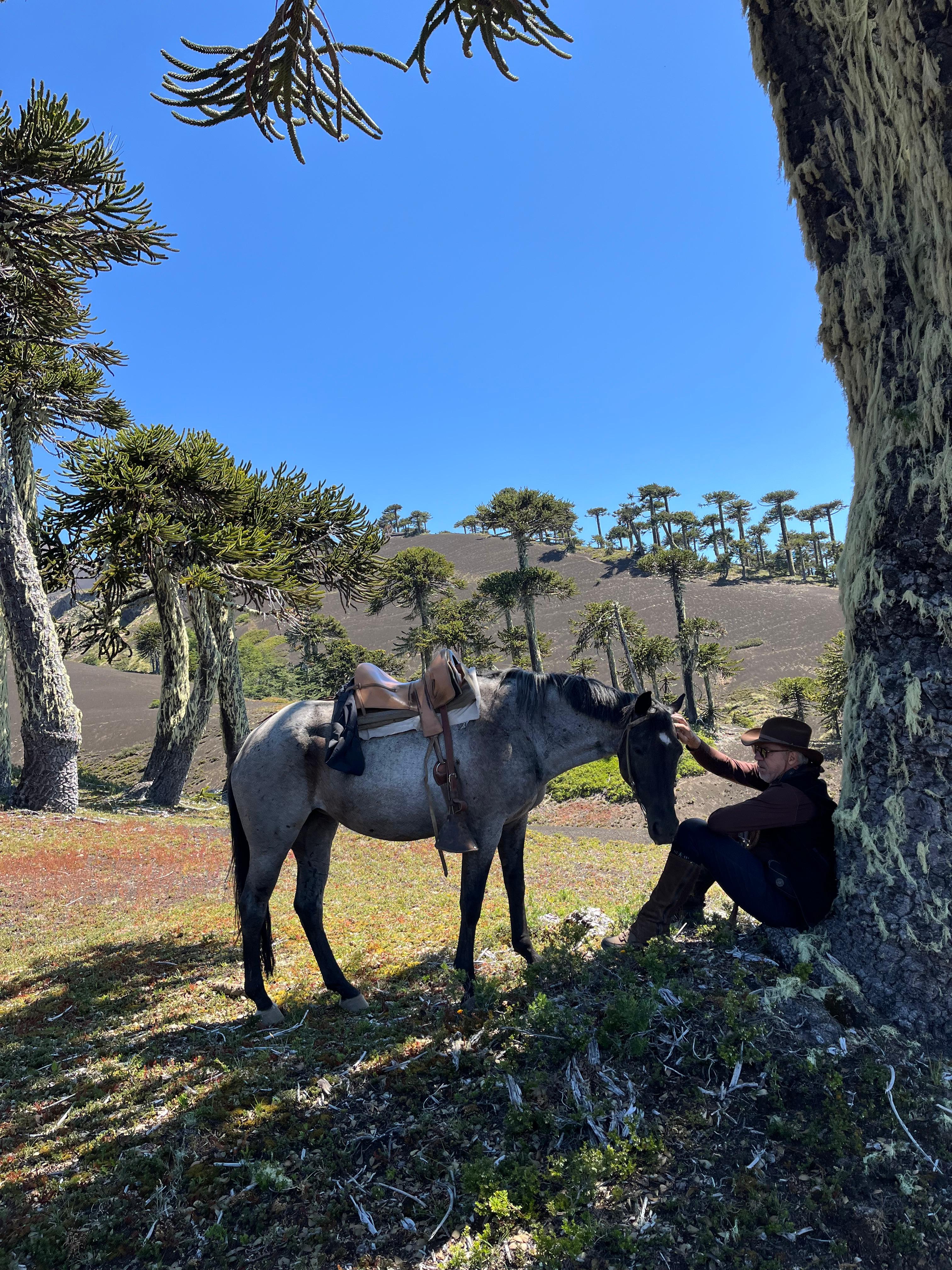 6-daagse paardrijtocht rond Sollipulli - Chili - Afbeelding 30