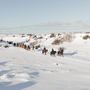 Buitenritten in de omgeving van Reykjavík - IJsland - Afbeelding 3