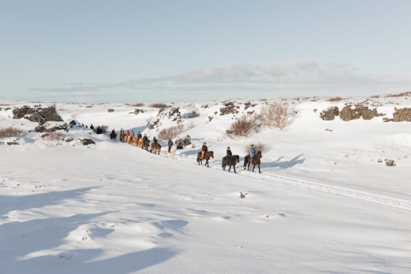 Buitenritten in de omgeving van Reykjavík - IJsland