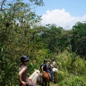 8-daagse Paardrijdtocht bergen, vulkanen, regenwoud - Costa Rica - Afbeelding 13