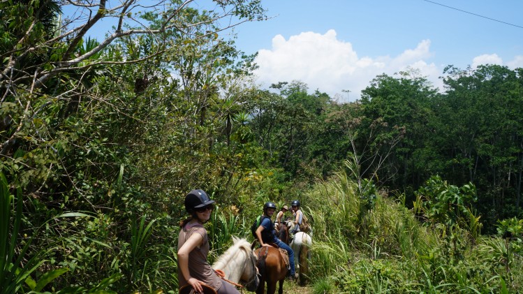 8-daagse Paardrijdtocht bergen, vulkanen, regenwoud - Costa Rica
