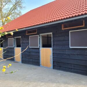 Paardrijkamp met je eigen paard voor ouder & kind Westerveld Drenthe - Nederland - Afbeelding 6