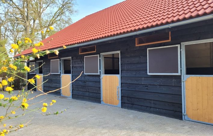 Paardrijkamp met je eigen paard voor ouder & kind Westerveld Drenthe - Nederland - Afbeelding 6