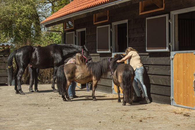 Paardrijkamp met je eigen paard voor ouder & kind Westerveld Drenthe - Nederland - Afbeelding 10
