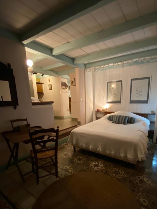 10-daagse Paardrijdtocht van berglandschappen naar de Pacifische kust - Costa Rica