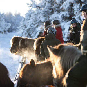 Buitenritten in de omgeving van Reykjavík - IJsland