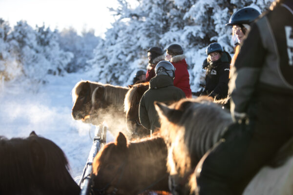 Buitenritten in de omgeving van Reykjavík - IJsland