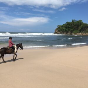 8-daagse Paardrijdtocht bergen, vulkanen, regenwoud - Costa Rica - Afbeelding 18