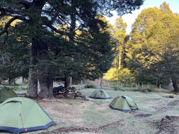 6-daagse paardrijtocht rond Sollipulli - Chili