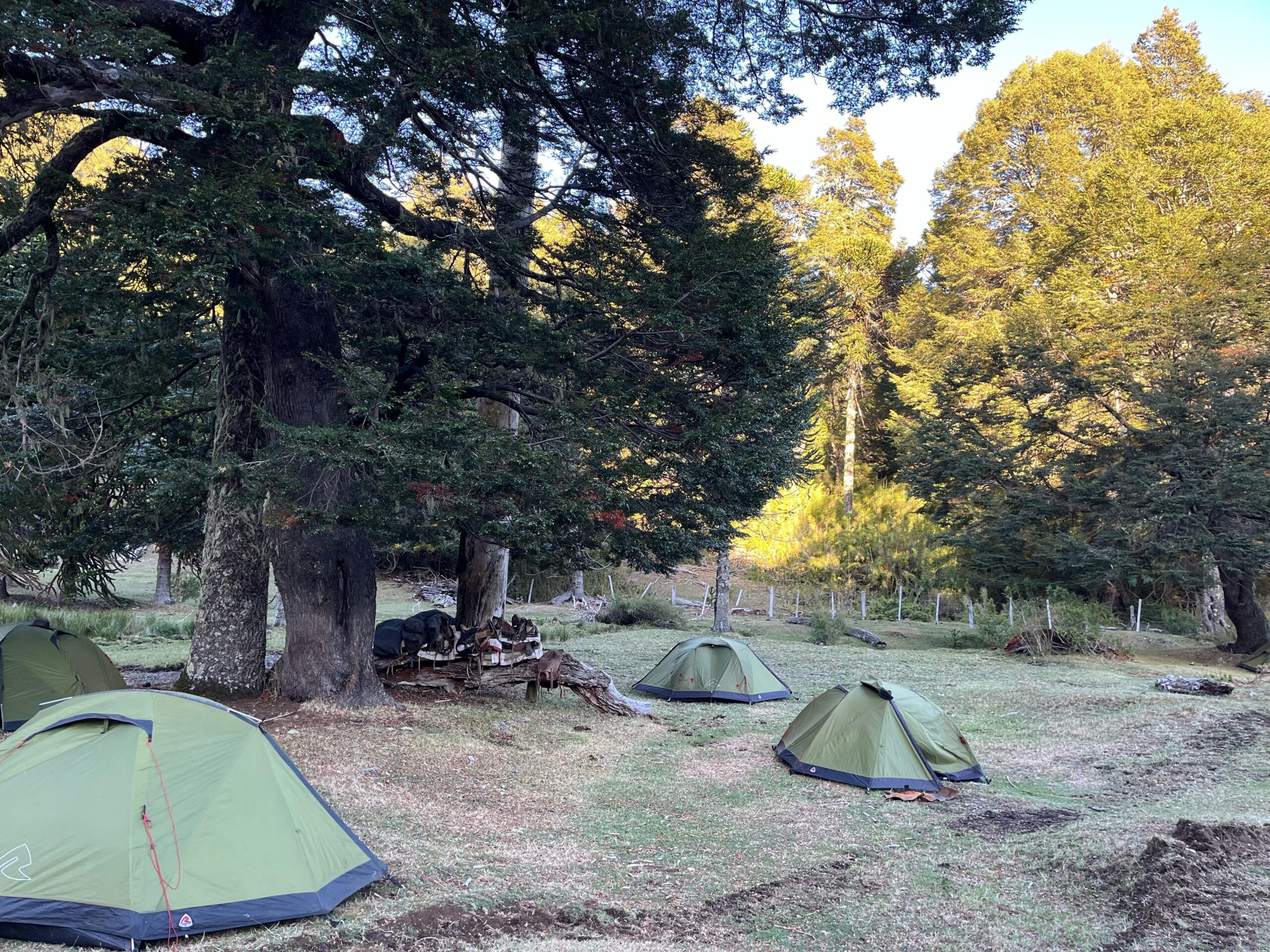 6-daagse paardrijtocht rond Sollipulli - Chili - Afbeelding 27