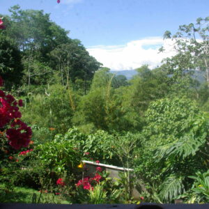 10-daagse Paardrijdtocht van berglandschappen naar de Pacifische kust - Costa Rica - Afbeelding 38