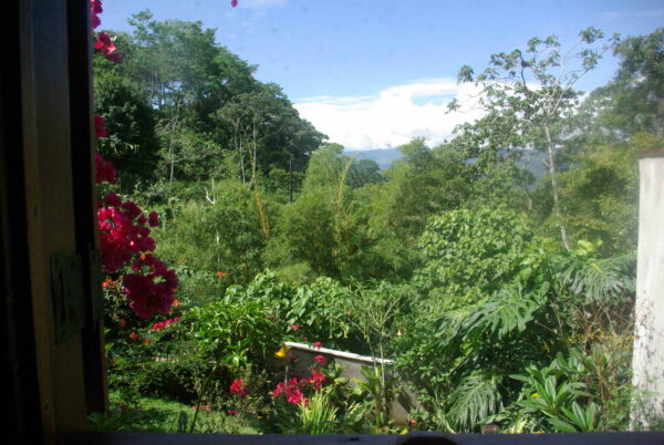 10-daagse Paardrijdtocht van berglandschappen naar de Pacifische kust - Costa Rica