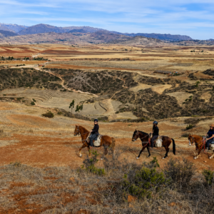 5-daagse paardrijtocht De Paradijsrit door de Andes - Peru