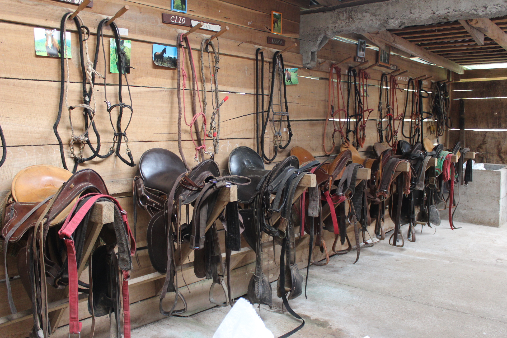 10-daagse Paardrijdtocht van berglandschappen naar de Pacifische kust - Costa Rica - Afbeelding 15