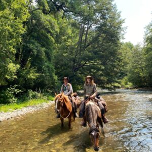 6-daagse paardrijtocht rond Sollipulli - Chili - Afbeelding 24