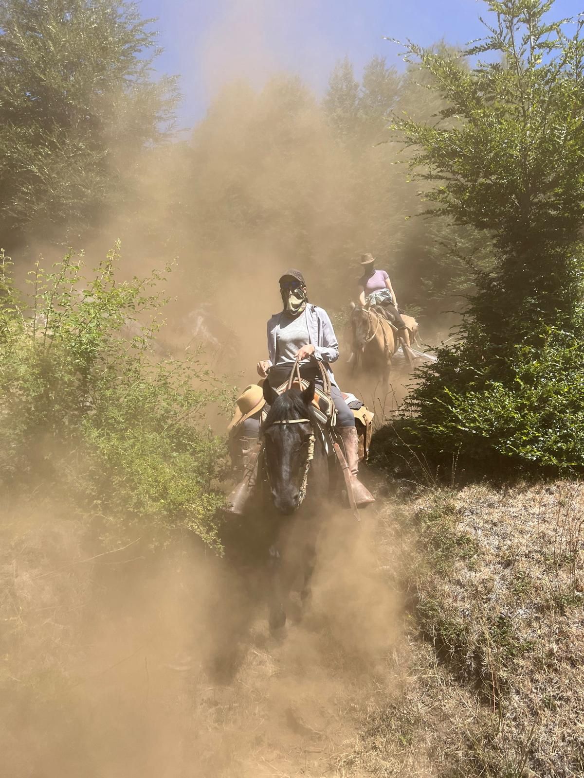 6-daagse paardrijtocht rond Sollipulli - Chili - Afbeelding 21