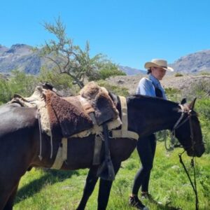 10-daagse paardrijtocht Chileense Andes - Chili - Afbeelding 17