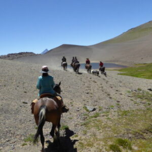 10-daagse paardrijtocht Chileense Andes - Chili - Afbeelding 5