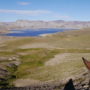 10-daagse paardrijtocht Chileense Andes - Chili - Afbeelding 2