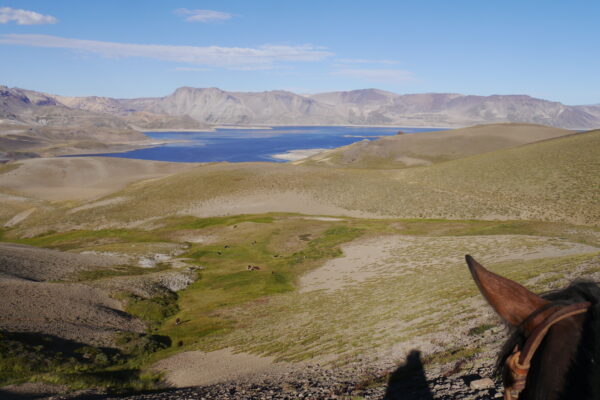 10-daagse paardrijtocht Chileense Andes - Chili