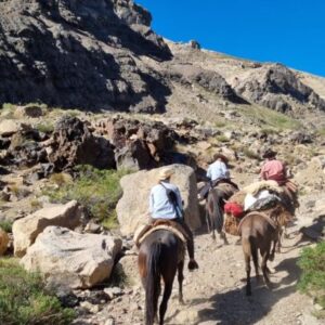 10-daagse paardrijtocht Chileense Andes - Chili - Afbeelding 16