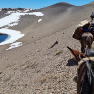 10-daagse paardrijtocht Chileense Andes - Chili - Afbeelding 15