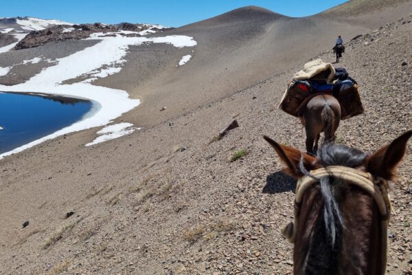 10-daagse paardrijtocht Chileense Andes - Chili