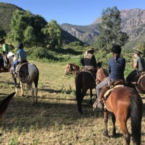 10-daagse paardrijtocht Chileense Andes - Chili - Afbeelding 13