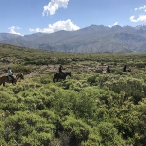 10-daagse paardrijtocht Chileense Andes - Chili - Afbeelding 11