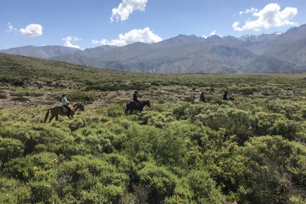 10-daagse paardrijtocht Chileense Andes - Chili