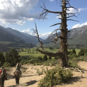 10-daagse paardrijtocht Chileense Andes - Chili - Afbeelding 10