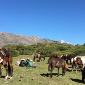 10-daagse paardrijtocht Chileense Andes - Chili - Afbeelding 9