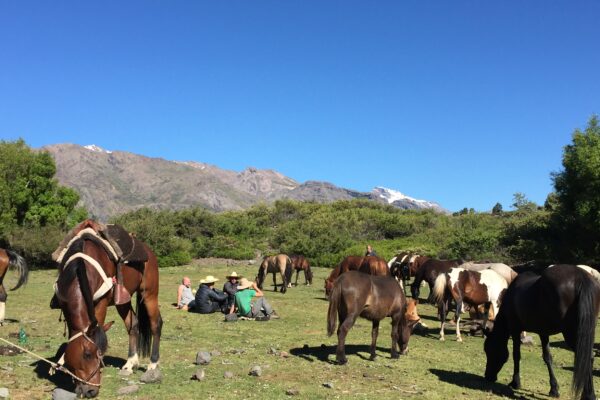 10-daagse paardrijtocht Chileense Andes - Chili
