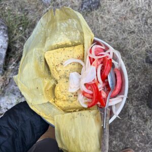 6-daagse paardrijtocht rond Sollipulli - Chili - Afbeelding 20