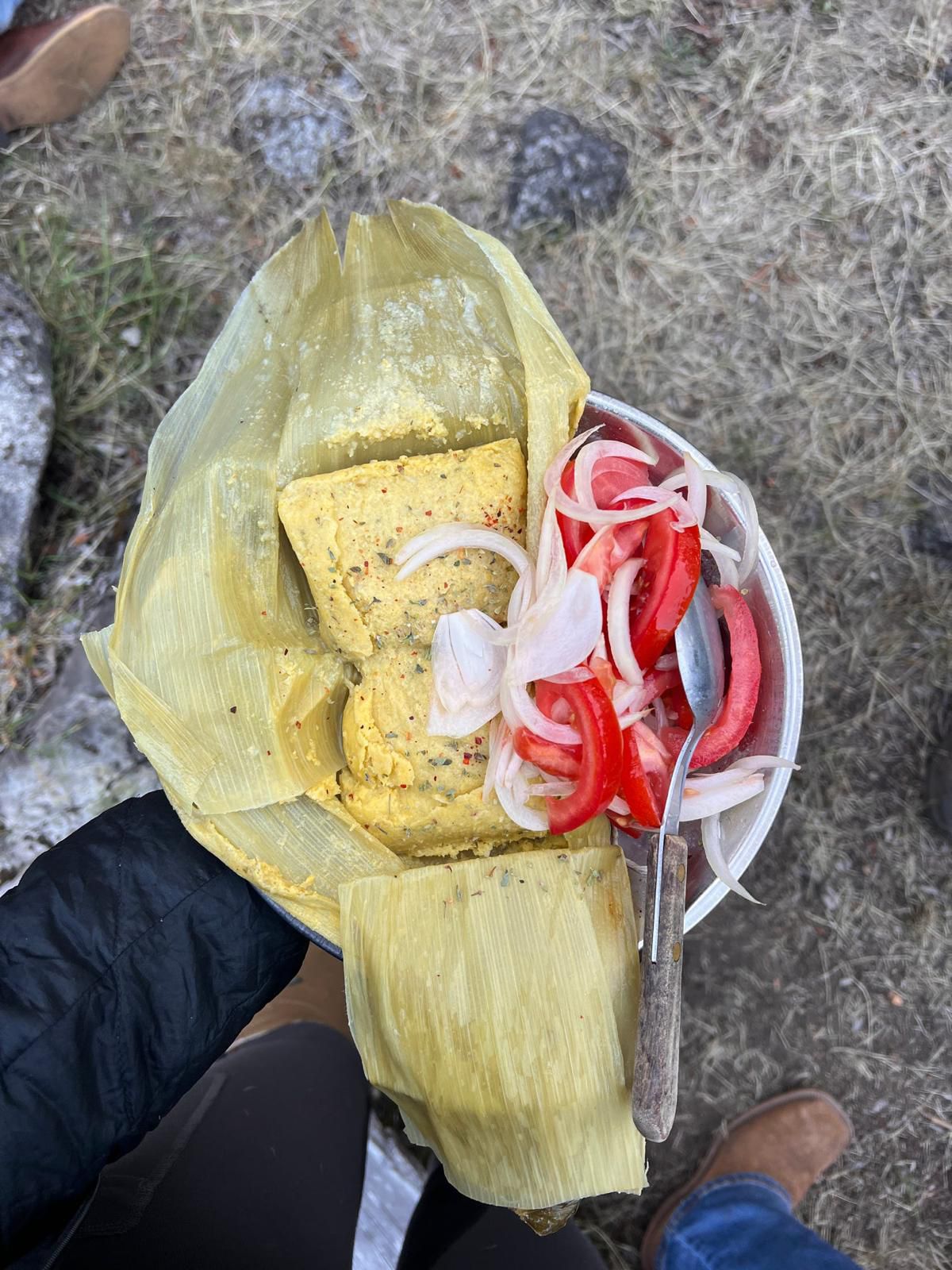 6-daagse paardrijtocht rond Sollipulli - Chili - Afbeelding 20