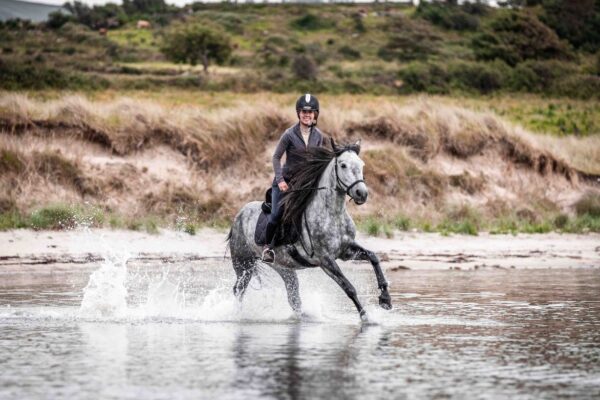 7-daagse paardrijtocht Atlantic Trail  – Ierland