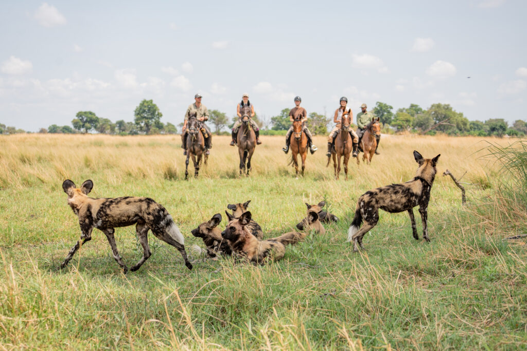 11-daagse Paardrijsafari in de Okavango Delta – Botswana