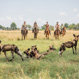 11-daagse Paardrijsafari in de Okavango Delta – Botswana