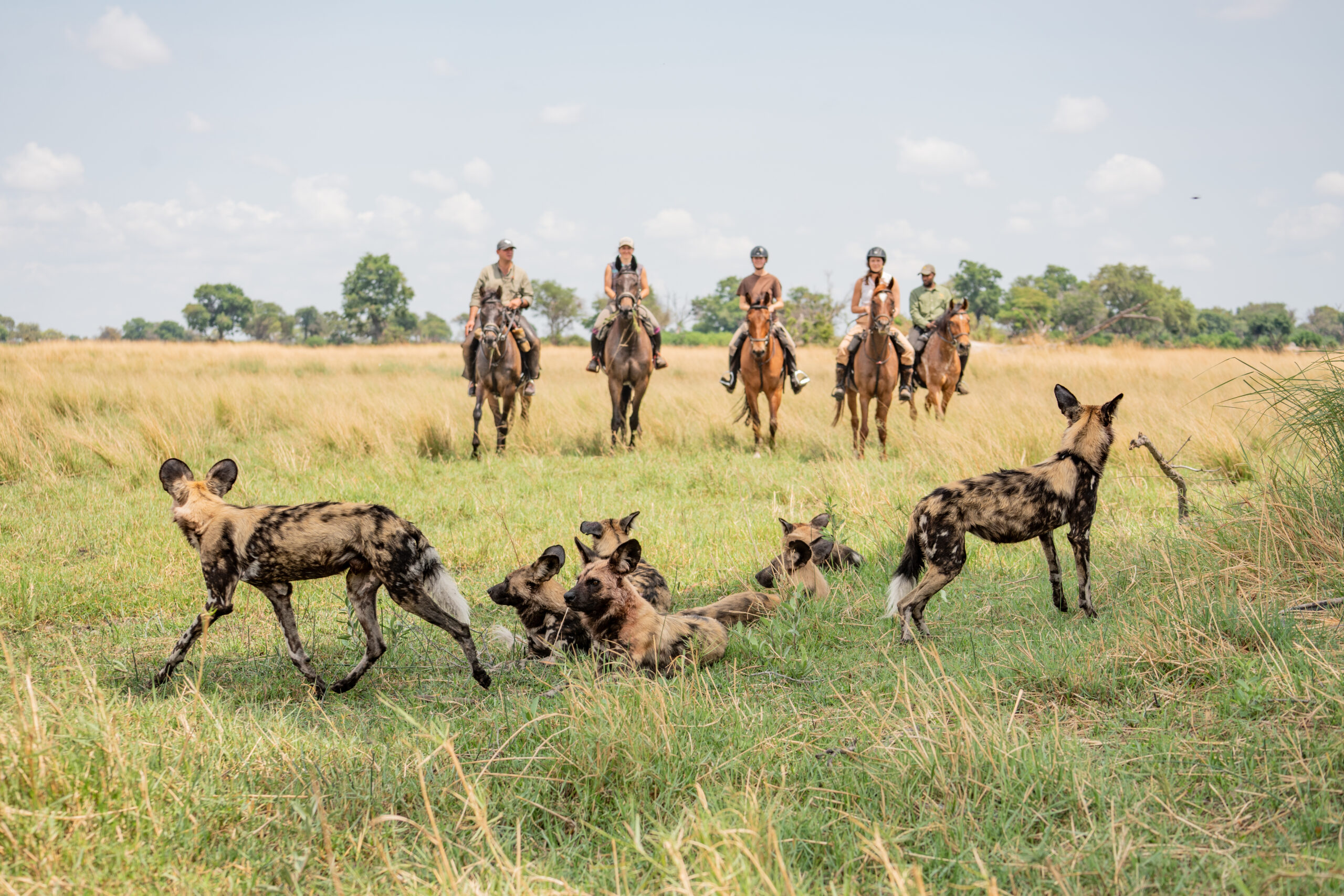 11-daagse Paardrijsafari in de Okavango Delta – Botswana - Afbeelding 1