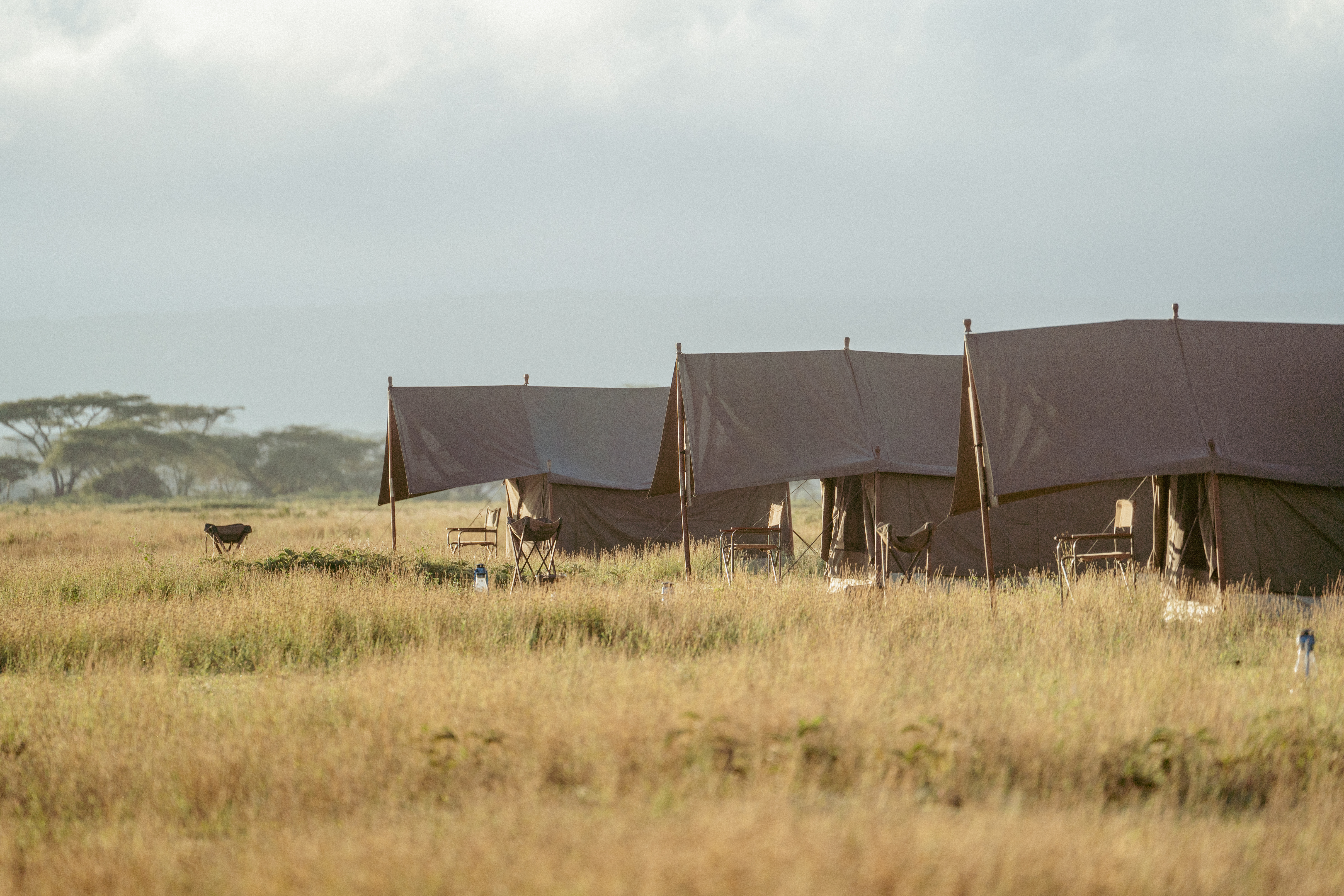 5-daagse Paardrijsafari en yoga-retreat - Tanzania - Afbeelding 7