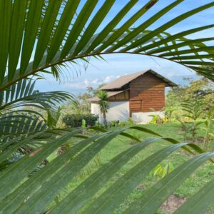 10-daagse Paardrijdtocht van berglandschappen naar de Pacifische kust - Costa Rica - Afbeelding 23