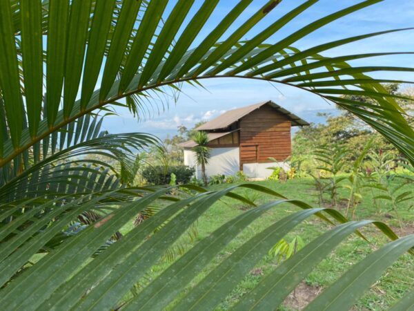 10-daagse Paardrijdtocht van berglandschappen naar de Pacifische kust - Costa Rica