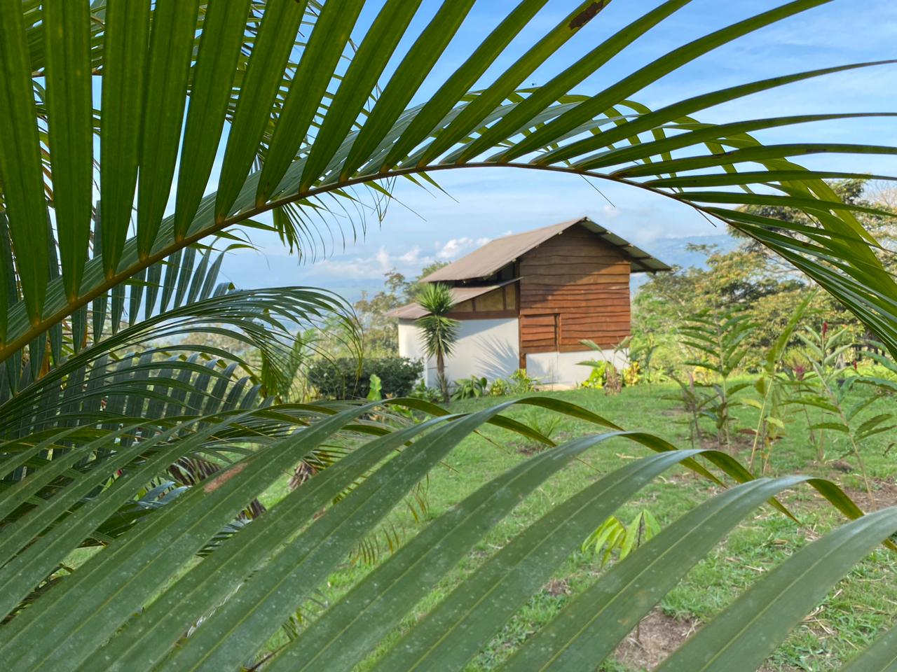 10-daagse Paardrijdtocht van berglandschappen naar de Pacifische kust - Costa Rica - Afbeelding 23