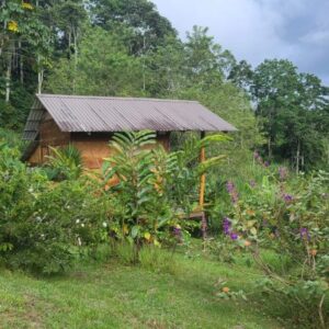 8-daagse Paardrijdtocht bergen, vulkanen, regenwoud - Costa Rica - Afbeelding 20