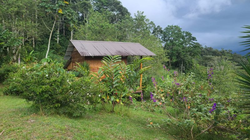 8-daagse Paardrijdtocht bergen, vulkanen, regenwoud - Costa Rica